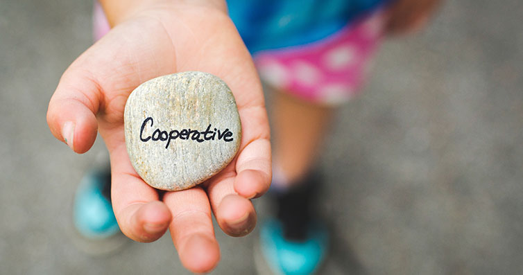 assignment.lk Role of operation manager